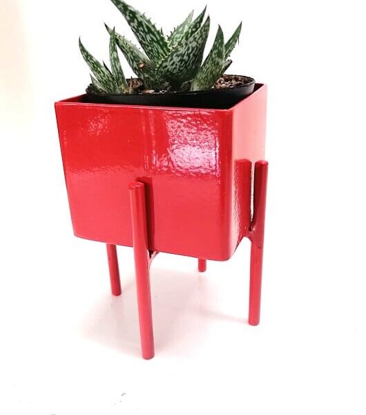 Square Pot Plant